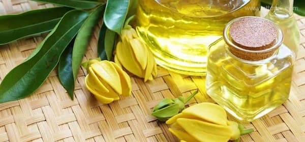 تصویر 1 از خرید جدیدترین انواع روغن معجزه